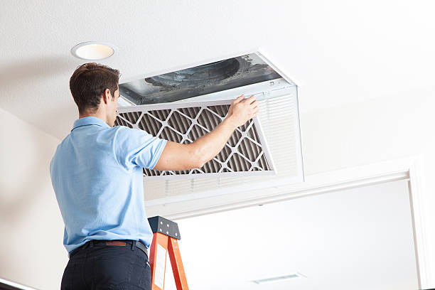 Best HVAC air duct cleaning  in Avoca, PA